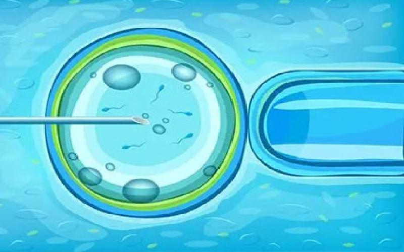 试管直播间分享代生